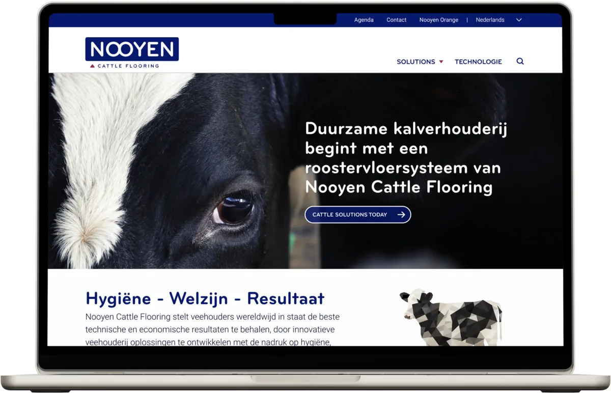 Nooyen cattle website