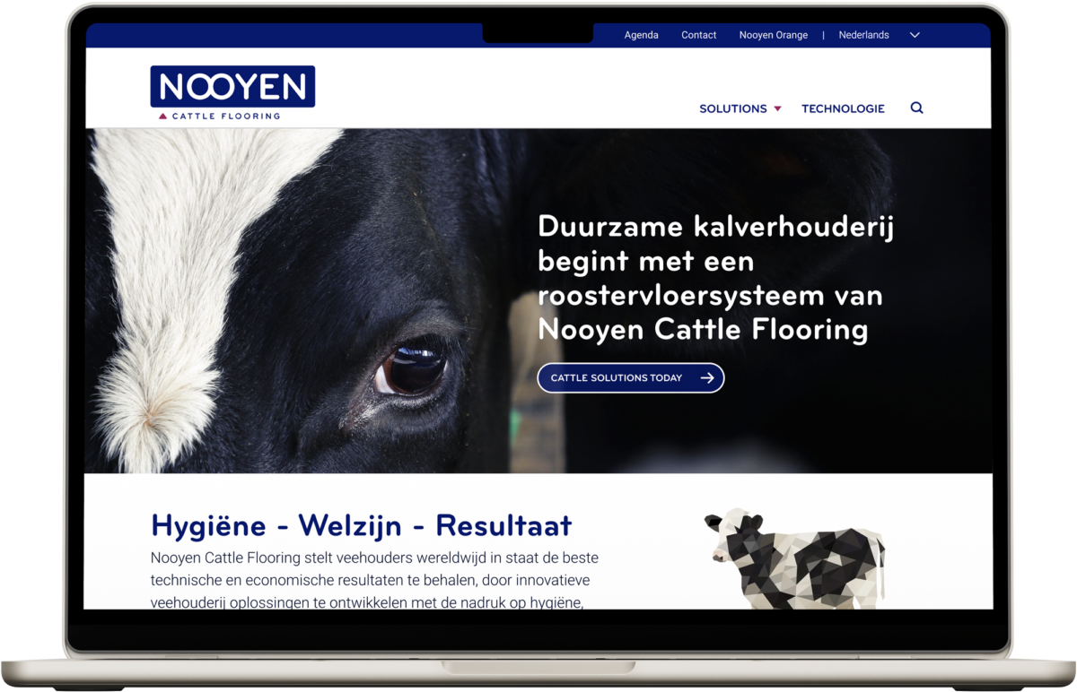 Nooyen cattle website
